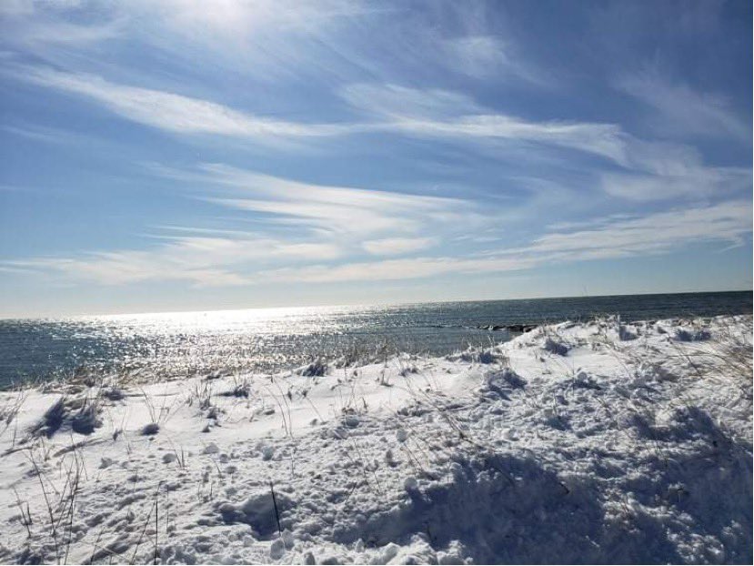 VisitCapeCod's tweet image. Winter magic on #CapeCod. ❄️