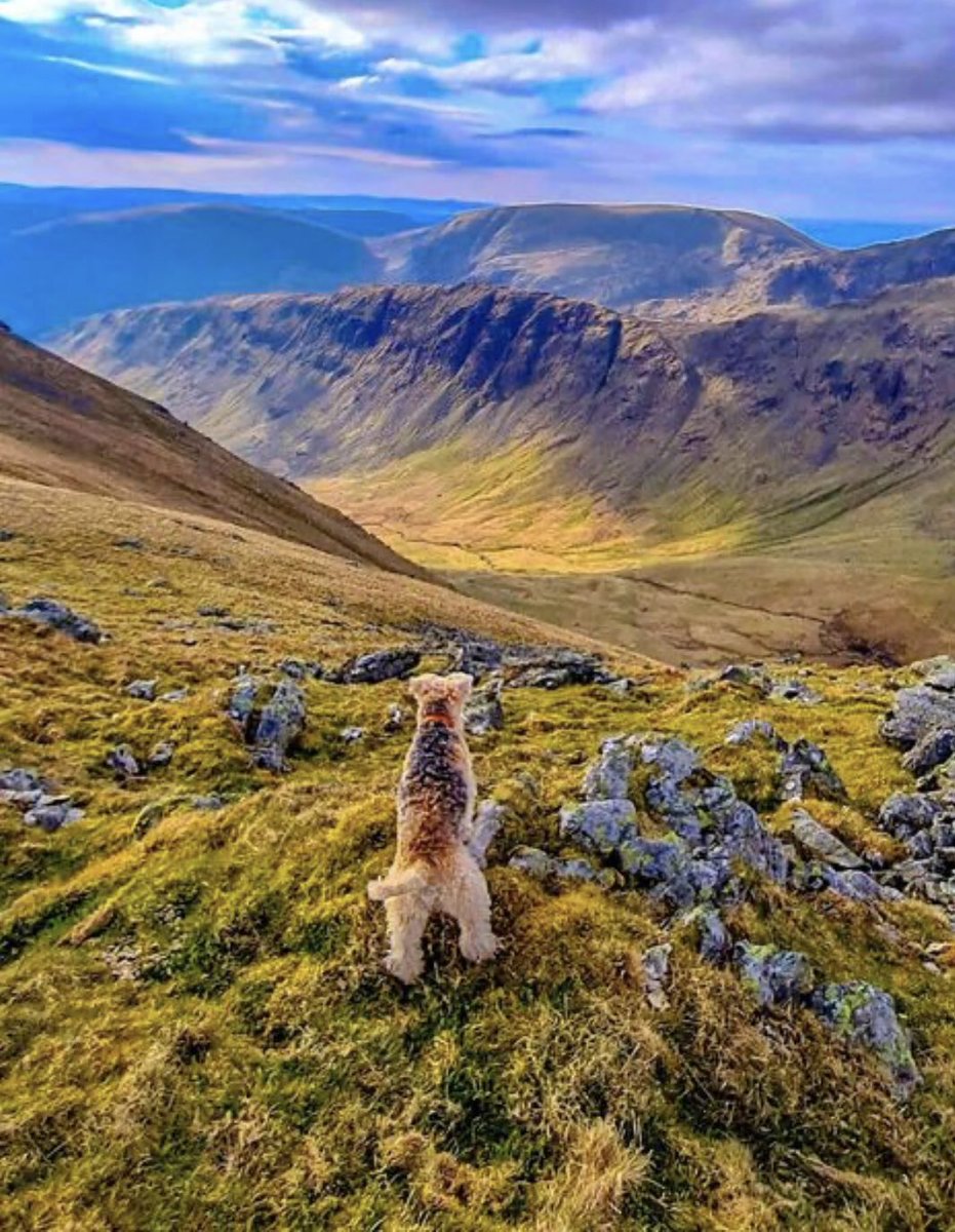 latman1966's tweet photo. Kirdsty pike on the way up to high street another amazing view in the lakes https://t.co/1g4x2jCTre