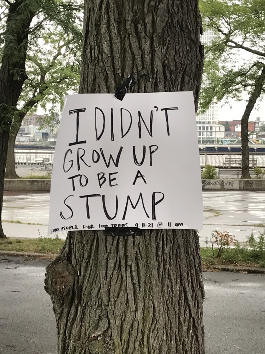 purr88's tweet photo. @1000treesNYC @NYCParks @NYCParks Q: How are you going to replace an 80-year-old tree? A: You're not, because you can't replace an 80-year-old tree. https://t.co/HQ7HeU0dFw