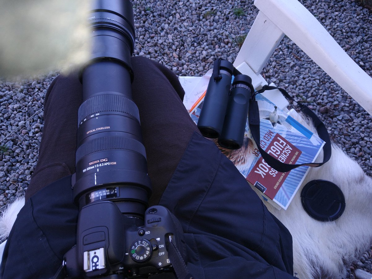 CardozoAnn's tweet photo. Garden bord count 2022. 15 species, up several from last year. Great weather. https://t.co/onzE1wFhnp