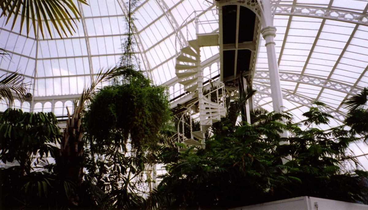 lynda_nicholls's tweet photo. Just a few of the plants survived &amp; in 2001 the Palm Hse was restored, mainly due to determined public campaigners, including one George Melly, who lived nearby as a child. Shouldn't there be a blue plaque at 22 Ivanhoe Rd or 12 Sandringham Dr?  #scousemouse https://t.co/AUWZwwLHJr