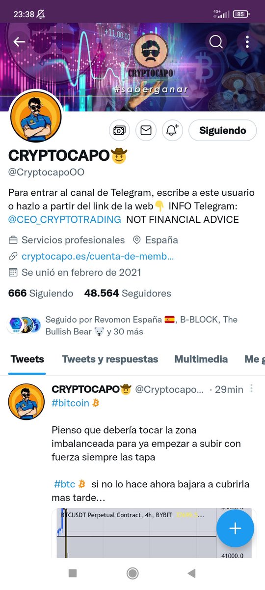 Criptofelo_NFT tweet media