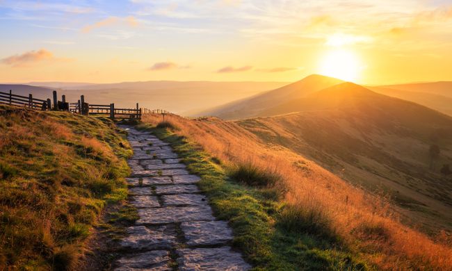 •illusionn° tweet media