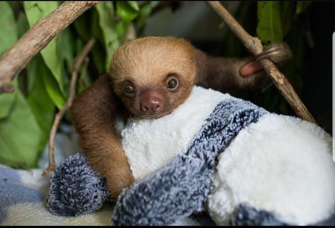 So cute 💗💞💙💜
Happy Monday ^^
<a href="/natgeo/">National Geographic</a>