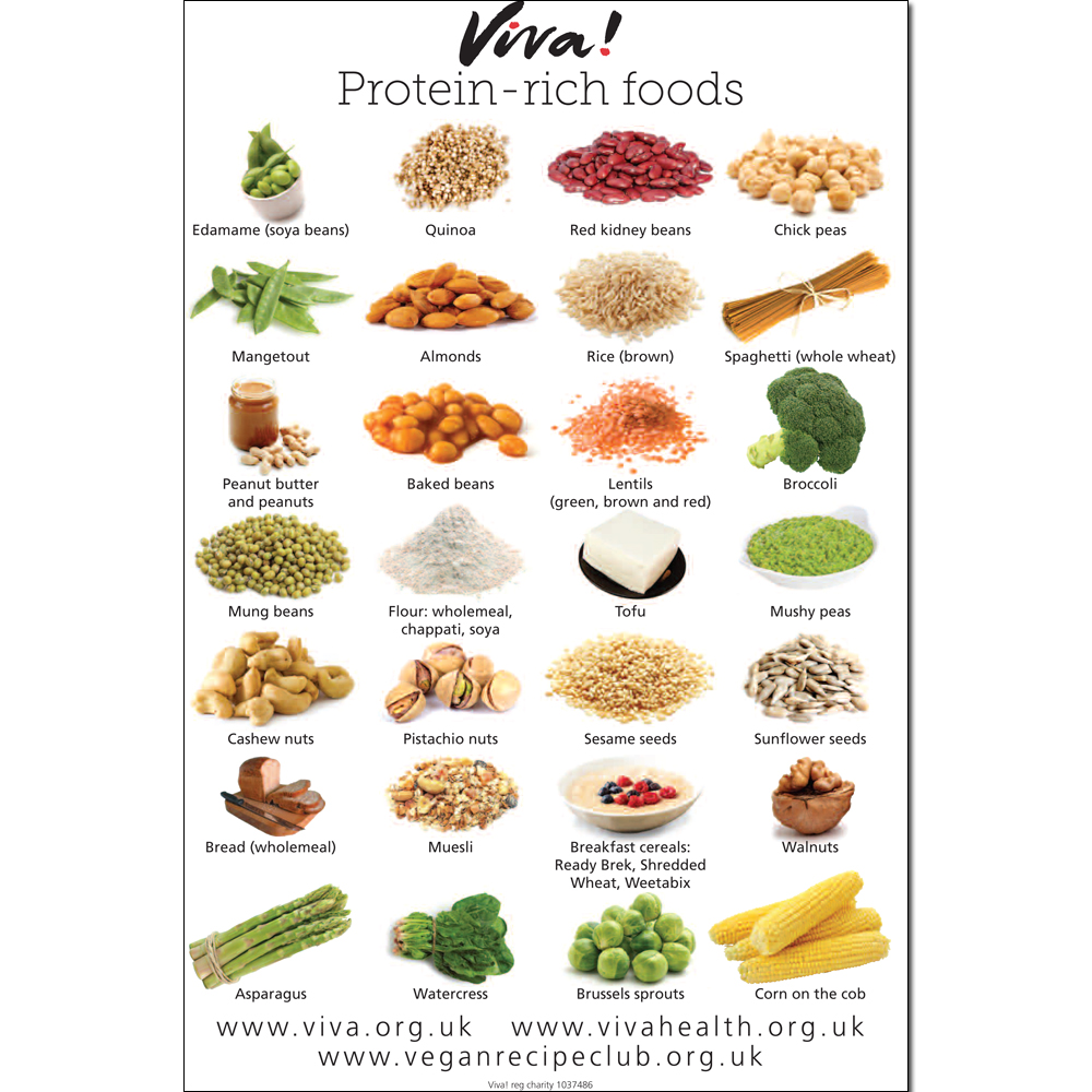 Protein-rich vegan foods