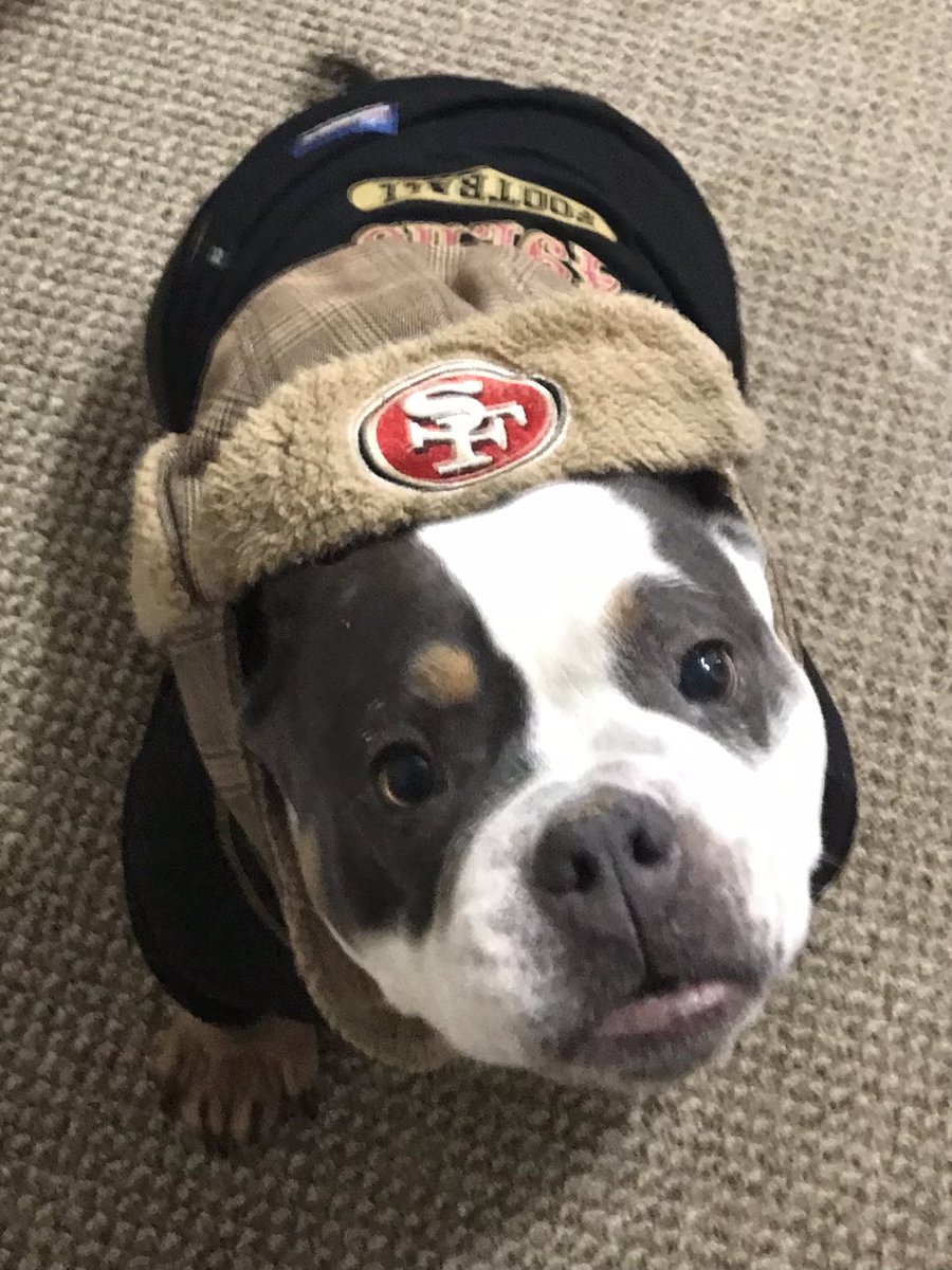 Let's Go <a href="/49ers/">San Francisco 49ers</a>