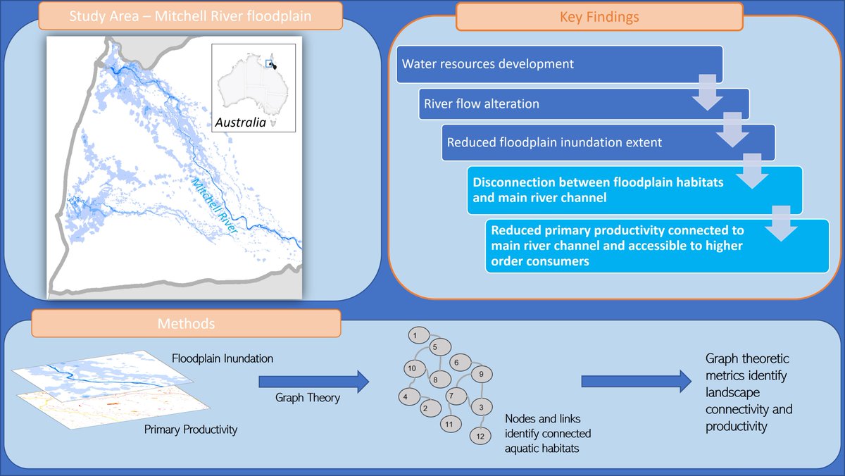 The third and last paper from my PhD is finally out 🥳 and it's my favourite. We used graph theory to understand the impact of water resources development in connectivity and primary productivity across Mitchell river floodplain. besjournals.onlinelibrary.wiley.com/doi/10.1111/13…