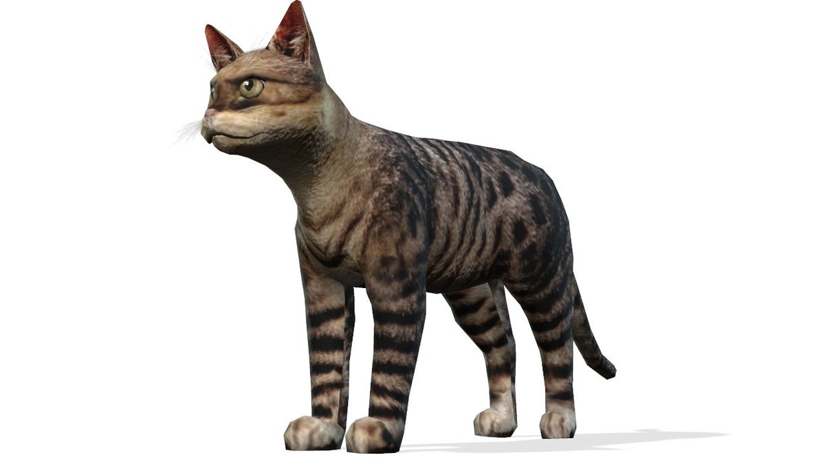 Algoria_io's tweet photo. #Algoria #Algorand #Algo #AlgoFam #Metaverse #MetaversePets 

3 new pets becoming available to Verified Beta Land owners tonight!!!

500 Kitties will be minted
100 Cheetahs will be minted
25 White Dragons  will be minted

Limited supply will be available today so get your $RITS https://t.co/mq1WVLz1wd