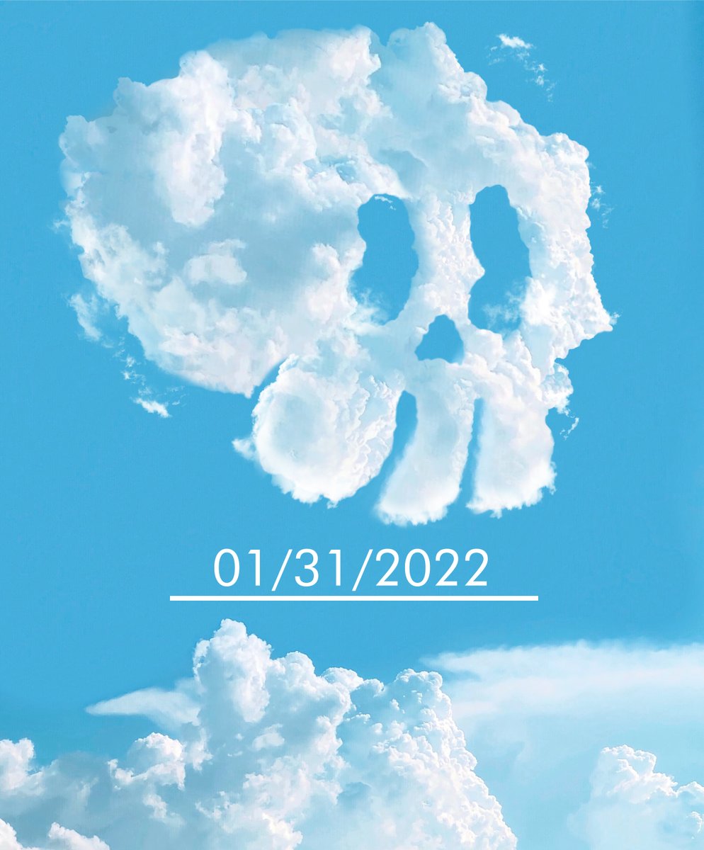 ScarySkulls tweet media