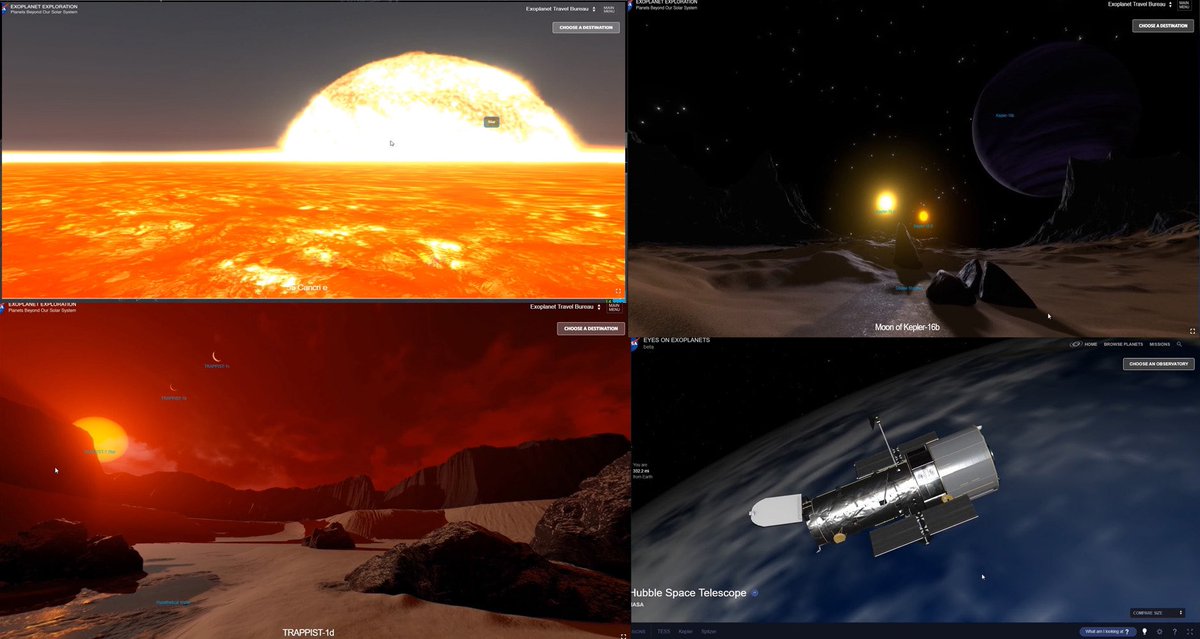 The Crypto Feed tweet media