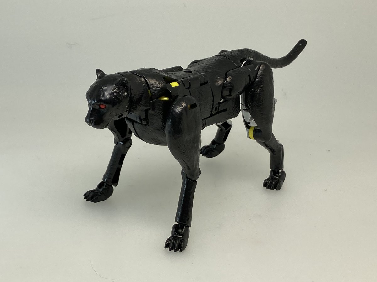 TF_pr's tweet photo. ＼追加情報／　
2022年6月発売タカラトミーモール限定キングダム新商品！
■KD EX-16 シャドーパンサー
の変形過程を画像で少しだけ紹介します！黒豹のビーストモードからロボットモードへトランスフォームします！

ご予約はこ��ら⇒https://t.co/VJDhnTJX4D

#トランスフォーマー
#transformers https://t.co/0c5rjjMNLS