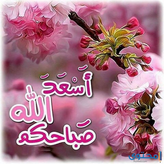 TotaZayd's tweet photo. https://t.co/up7MxTNvCg