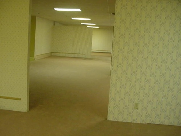 ShapedInternet's tweet image. 