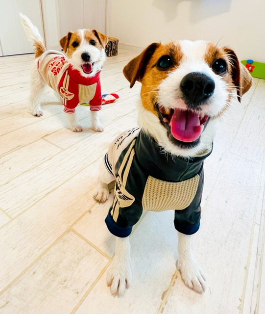 のんき屋じもん (@nonkiyajimon) / Posts / X