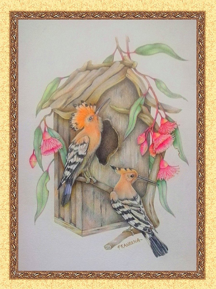 Praweena tweet media