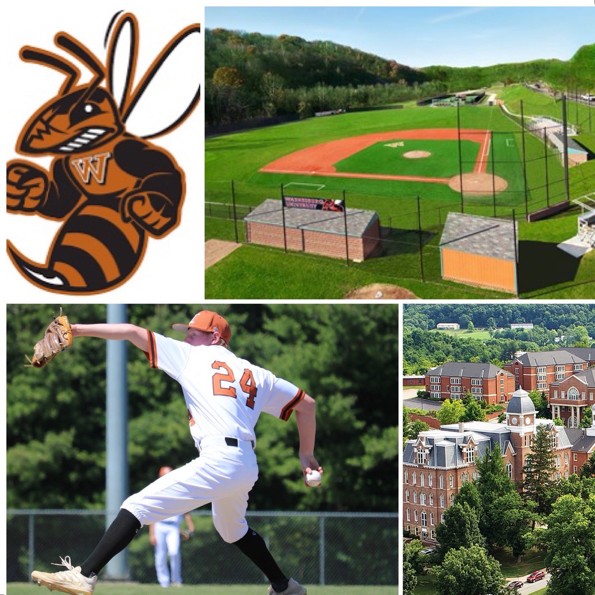 Zach Scibelli tweet media