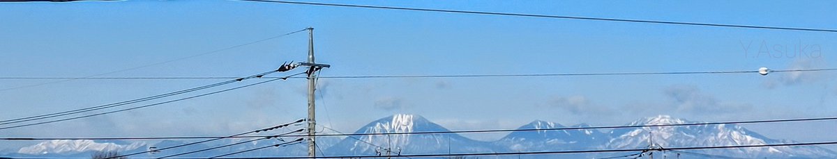 yumeasutw's tweet photo. お日様燦々☀️快晴の月曜日の朝✨
#日光連山 がハッキリ望めます🏔️🏔️🏔️
予想最高/最低気温🌡️8℃/-5℃
晴れ☀️
穏やかな冬晴れのお洗濯日和となりそうです👕
#空の名前
#青空 #Sunshine
#日の出 #sunrise
#ロウバイ #蝋梅
#庭花 #花 #Flower
#1月最終日
#a2022 #a0131 #a202201 #a2022016 https://t.co/VwgVZOFip8