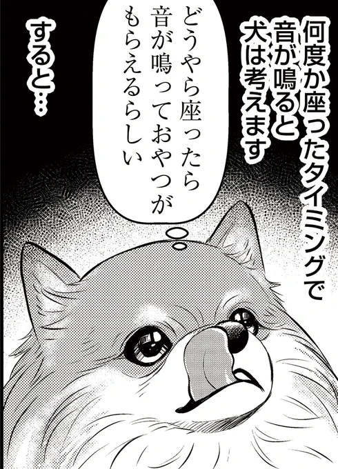 /#DOGSIGNAL が11時11分をお知らせします\今日の1コマは最新話から #ポメラニアン の小百合が考えるシーンをどうぞかわいい。第33話は折返しの②まで公開中コミックス7巻の予約もスタートしていますそれでは今週も#DOGSIGNAL をよろしくお願いします 