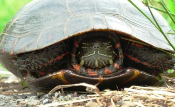 edd_lean's tweet image. Antes//////^^^^^////////ahora 
El q entendió entendió 😒