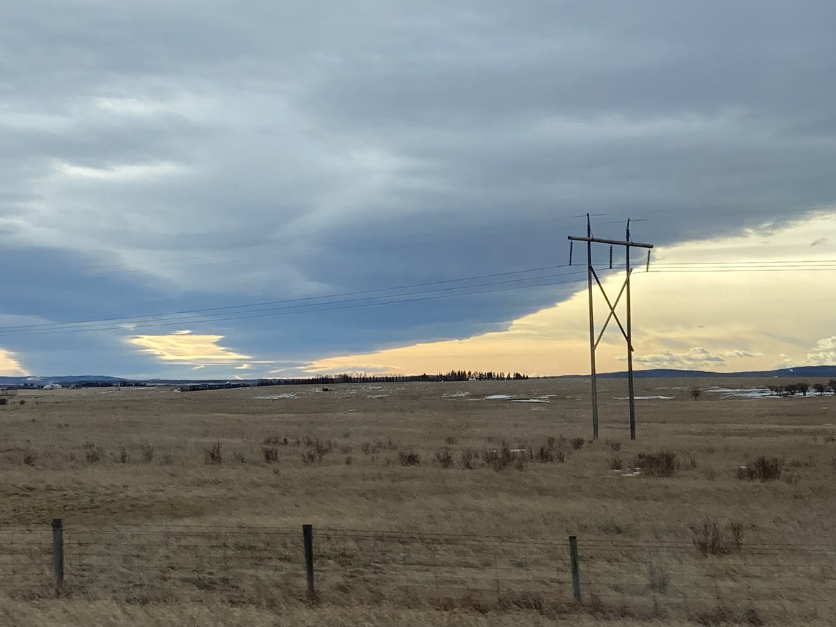 AndreaAVAVAV's tweet image. Drive today