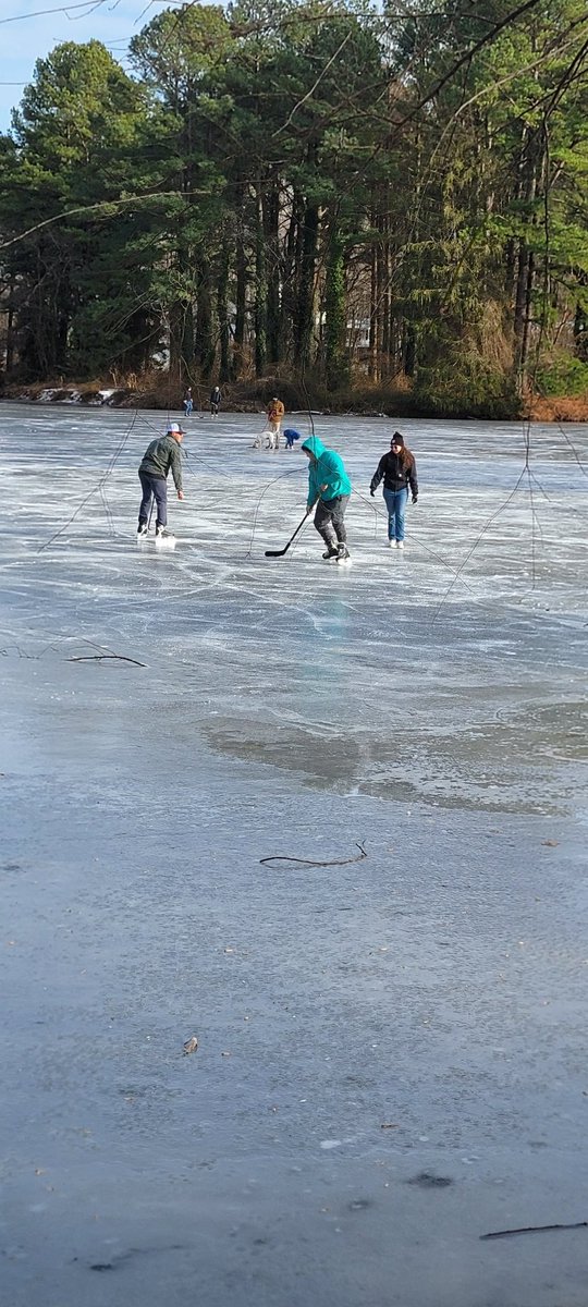 MichelleJ1102's tweet photo. @rmnb Hockey and Dogs on the lake https://t.co/A3tzGixqQc