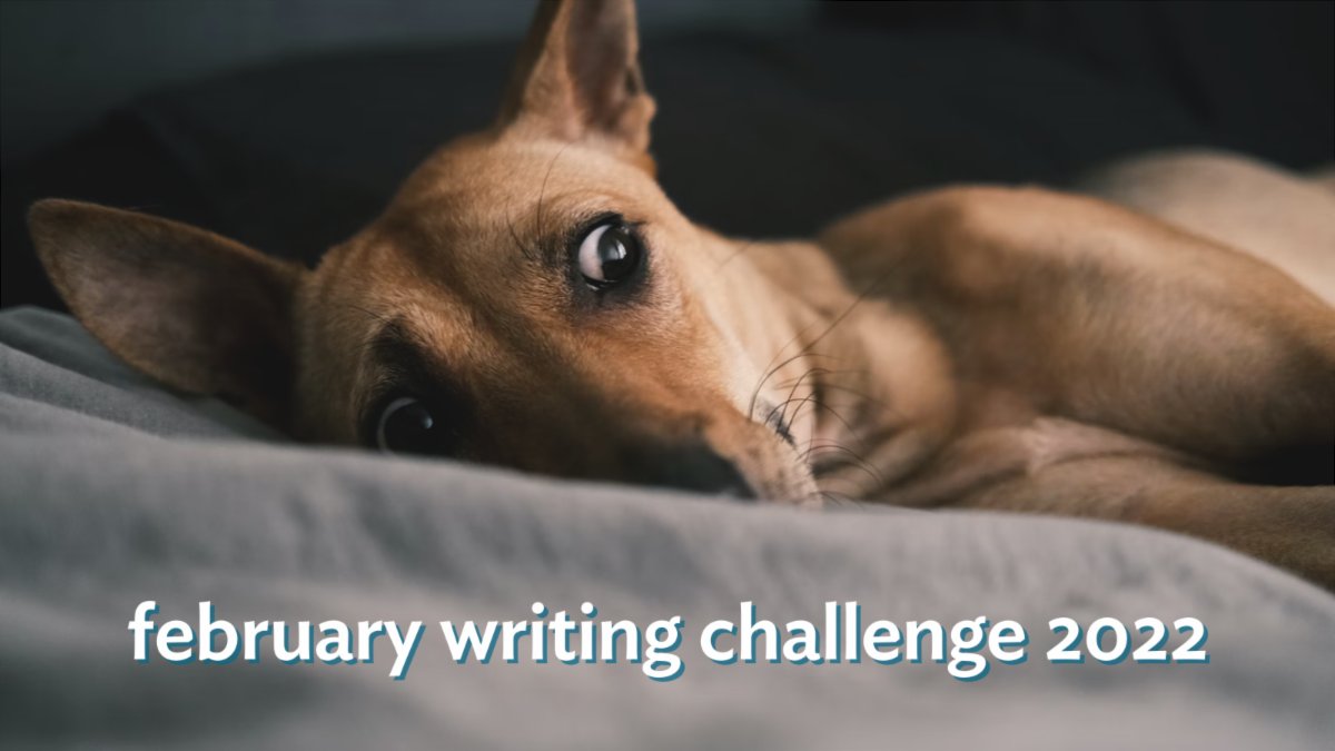 AcadWritStudio's tweet photo. Hi scholars &amp; writers—our annual February Writing Challenge starts Tuesday! Want to cultivate your writing practice while also being kind to yourself? Tune in here or join our Facebook group https://t.co/YN0owZHKga.

Read more about the FWC: https://t.co/D3IgDmXb0p.
#AcWri #PhDL https://t.co/6J4QMFK3VD