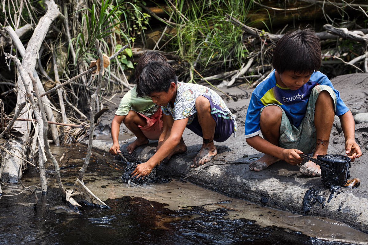 NO SE PUEDE ESPERAR MÁS
Comunidades Kichwas están en especial situación de vulnerabilidad por la violación sistemática de sus derechos desde el #SOSDerrameAmazonía 2020, daño que no ha sido reparado, y que se repitió el #28Ene 2022.
@Ambiente_Ec, @RecNaturalesEC, <a href="/CorteConstEcu/">Corte Constitucional</a>