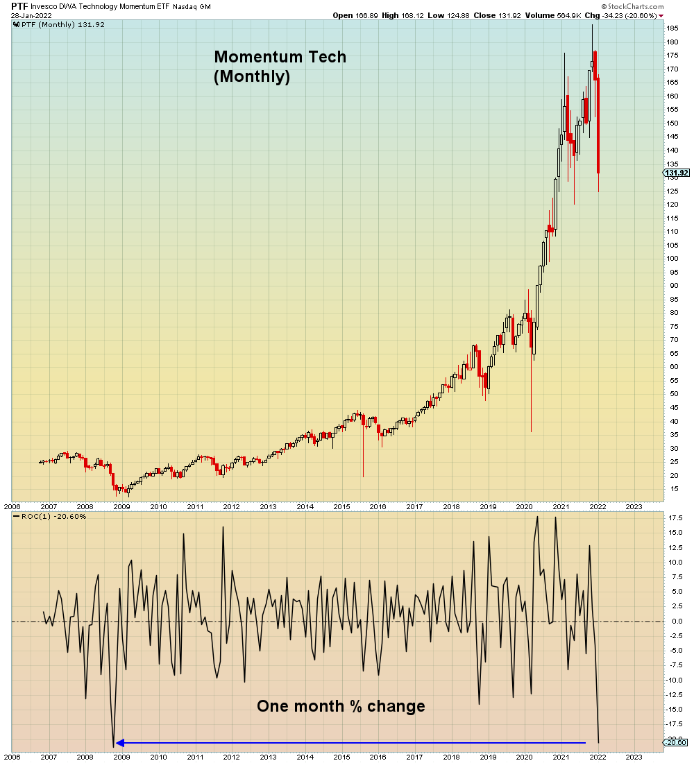 Momentum Tech losses now equal the worst month of 2008.

October 2008: