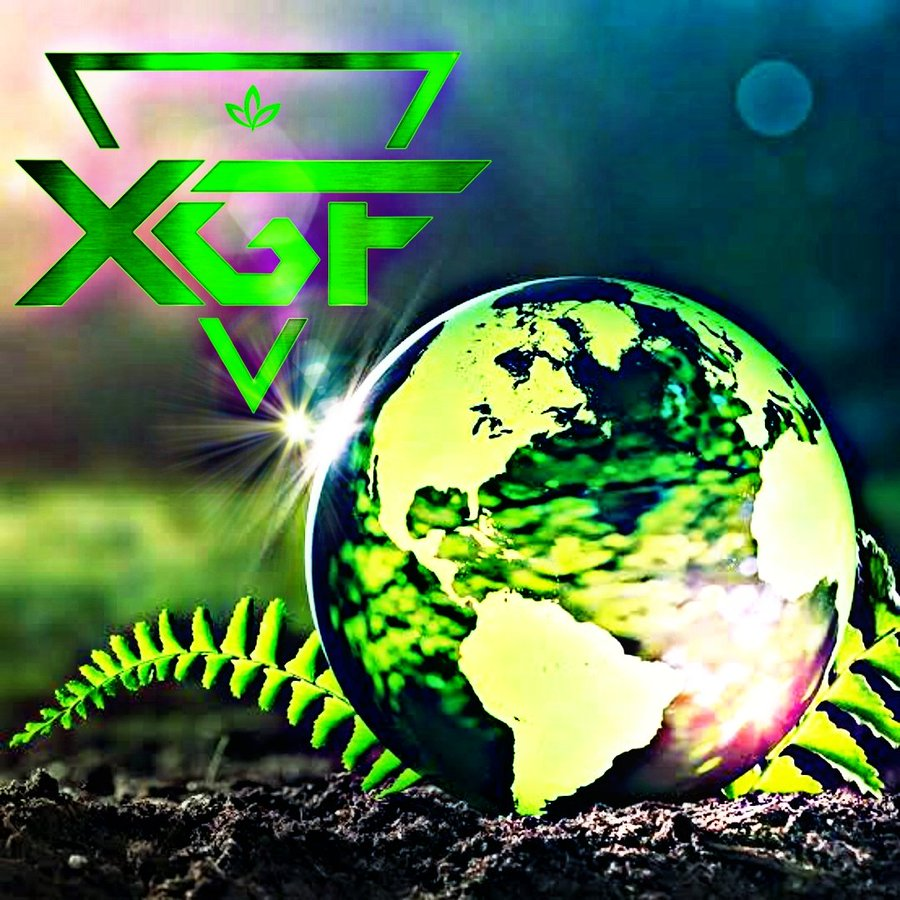XGF | xGreen Fund tweet media