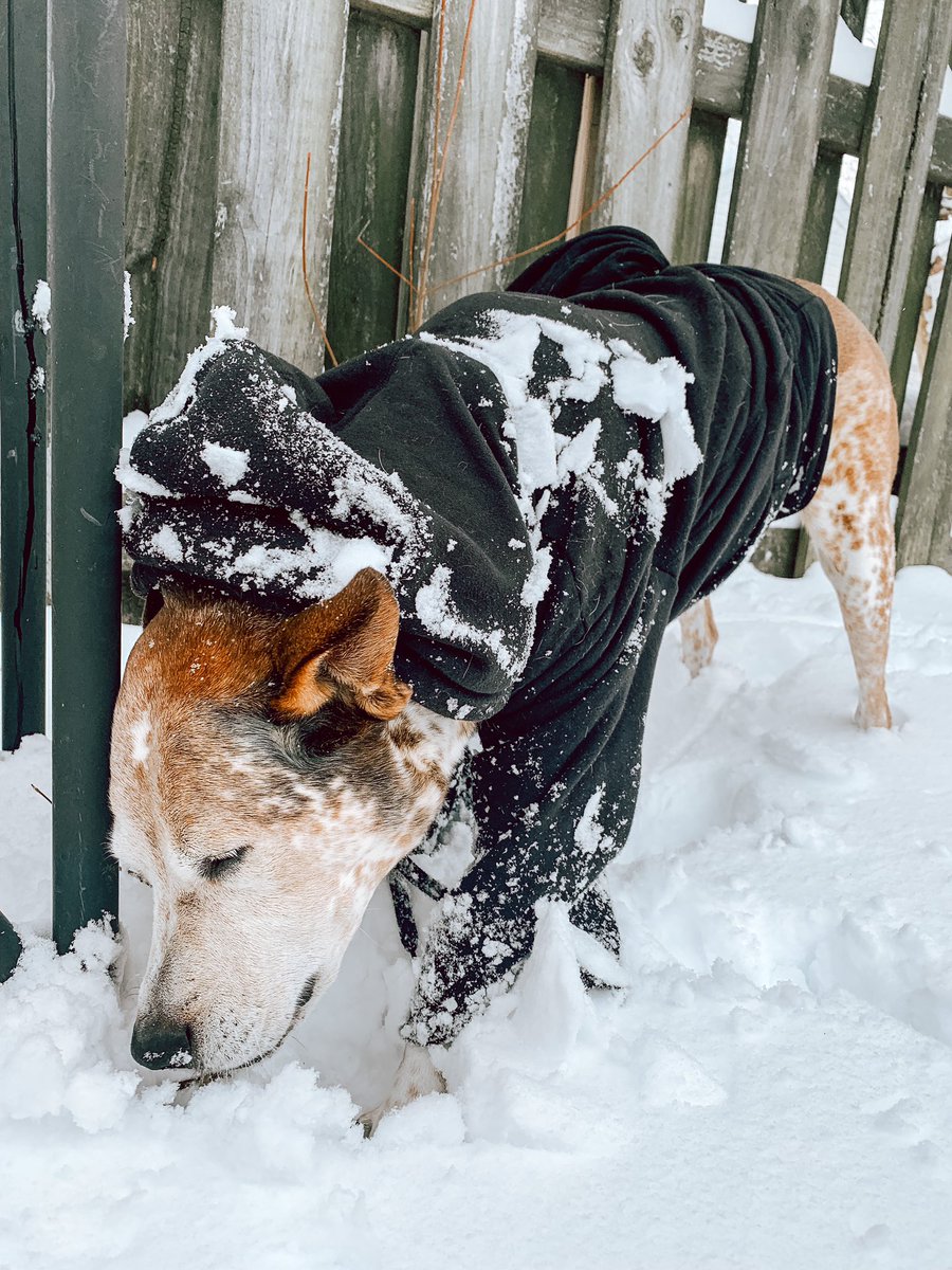 Very thankful for our snowy weekends. ❄️