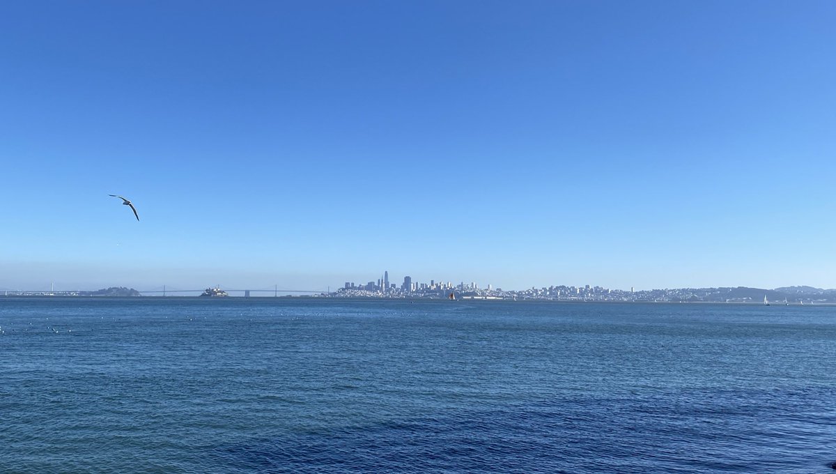 hewdraven's tweet photo. Beautiful day in the north bay today! https://t.co/phNPhayXaB