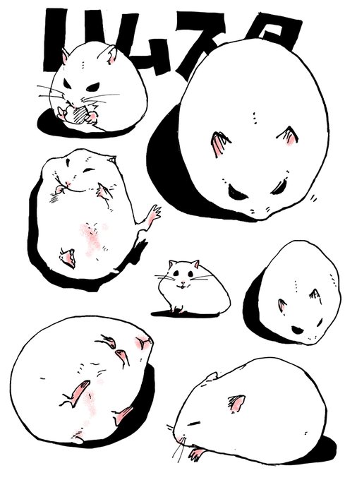 はむすた可愛い 