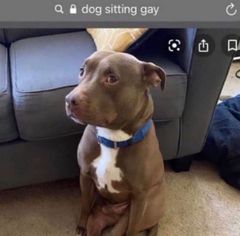 jxrron's tweet photo. @Stellafella420 @amazon i hate you https://t.co/0VzzBcknFL