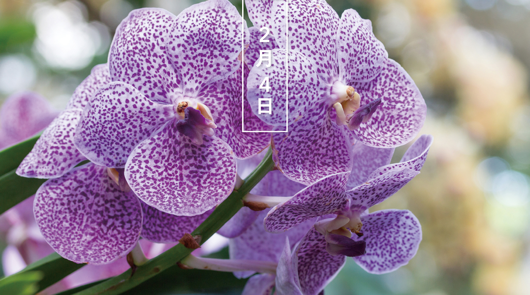 Cr5i0yzvcdi2om Cr5i0yzvcdi2om