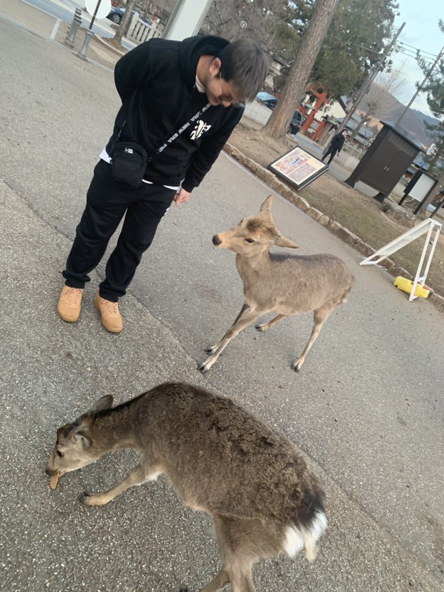 TaaaMeeeT's tweet photo. 鹿と遊んで大興奮やけど今年24歳
まだまだ子供やで https://t.co/dADqn0Qp4d