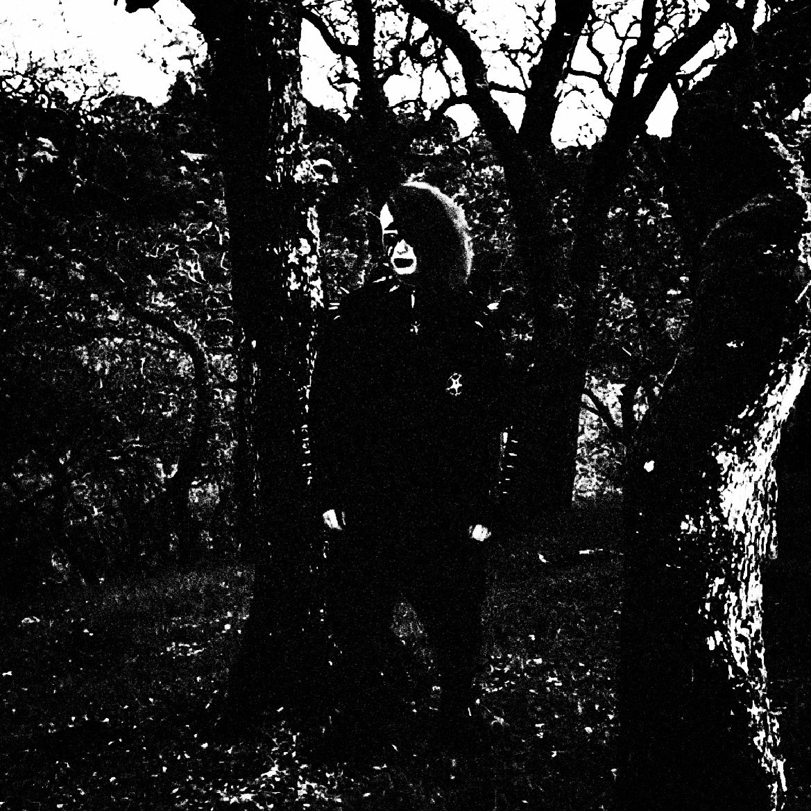Morningstvr666's tweet photo. ALBUM UPDATE:

Photo by: @hollystell

#witchhouse #witchhousemusic #lagoth #blackmetal
#kvlt #satanism https://t.co/2A1FcNVptD