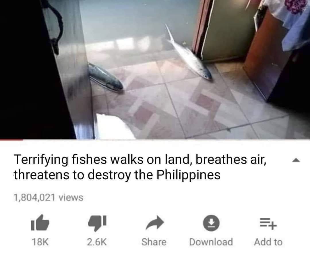 BabJames25's tweet image. This is why the Republicans should be in office, sleepy Joe won't be able to handle thos crisis at all! #FishInvasion