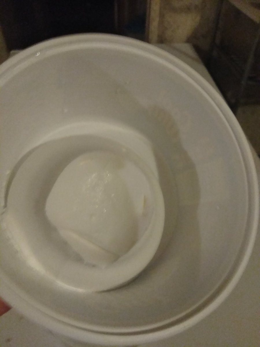 Schizophrenic Thoughts ✨🇵🇸✨ tweet media