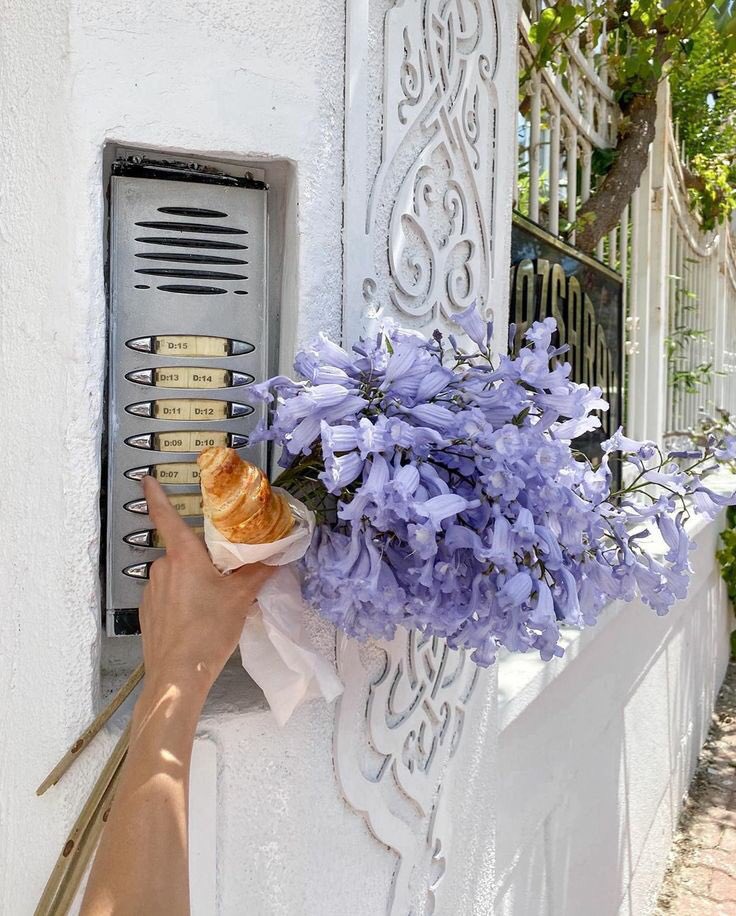 𝑀𝑜𝑟𝑛𝑖𝑛𝑔 ♡