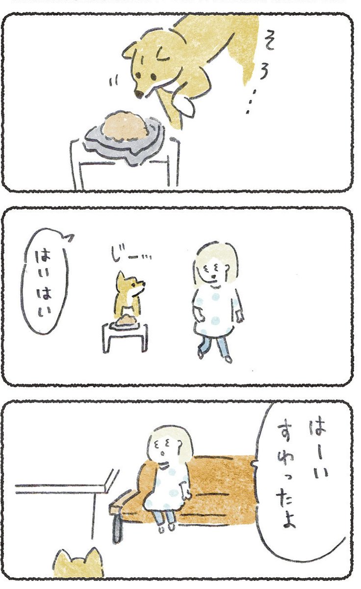 今週はごはんの話〜こつぶの場合〜

リプにつづき貼ります
#豆しばこつぶ 