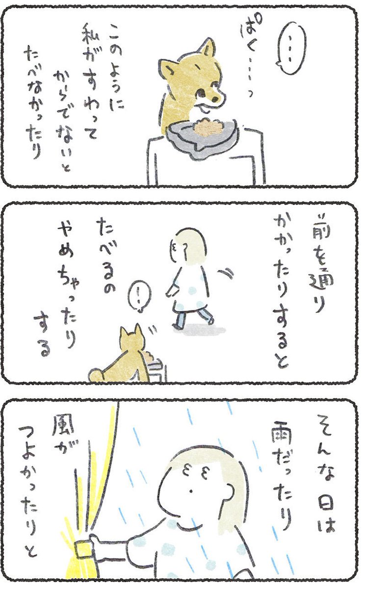 今週はごはんの話〜こつぶの場合〜

リプにつづき貼ります
#豆しばこつぶ 