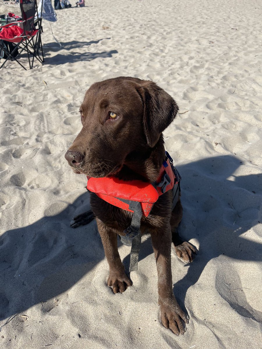 ☼ esm ⋆ tweet media