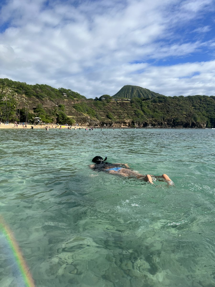 kate_imua's tweet photo. 久々のhanauma bay✨ https://t.co/JDtCNpScO6