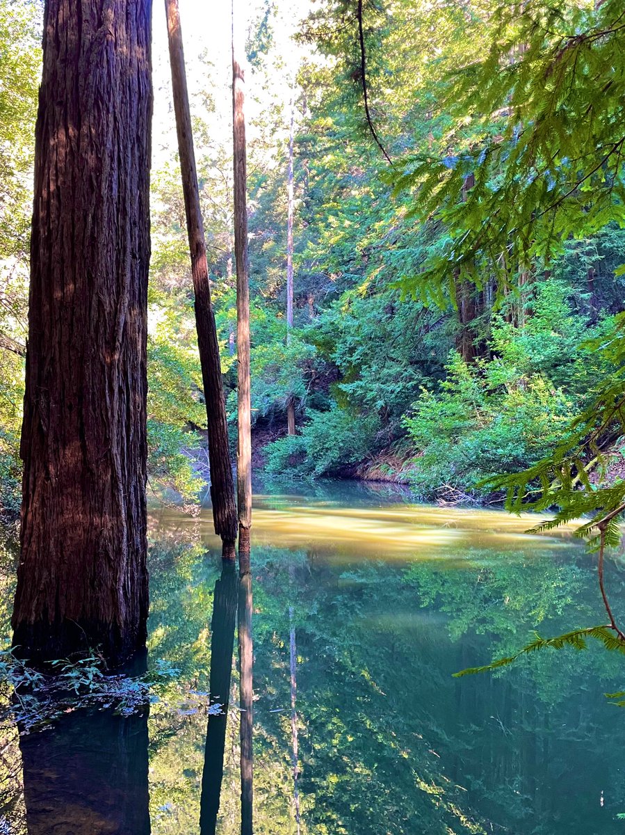 Cataract Trail, Marin