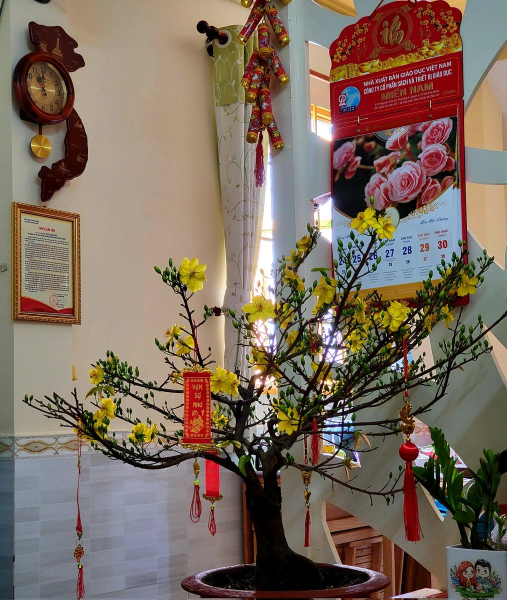xuyen296's tweet photo. Spring corner https://t.co/XrERscCEoQ
