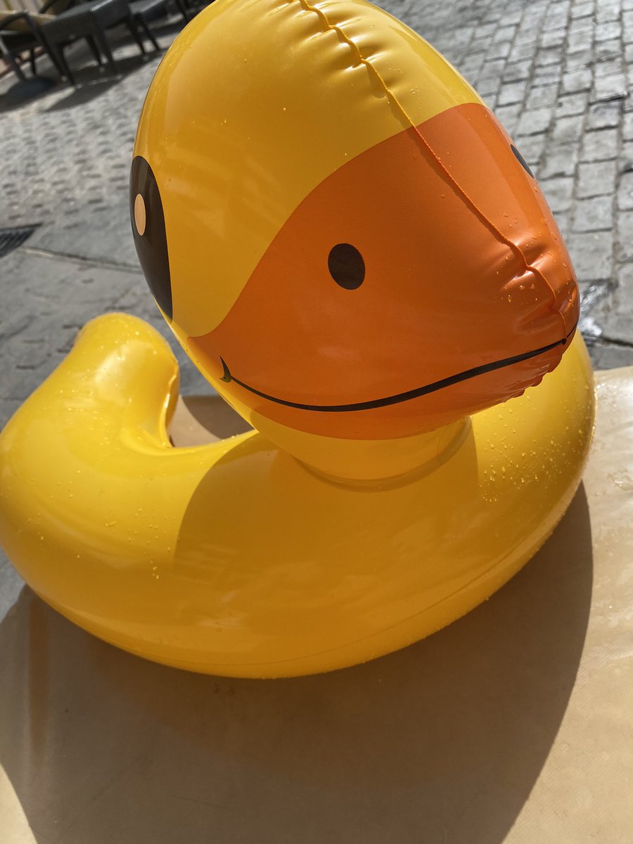 1dalehardiman's tweet image. Talk about utility. 

My @noncoducks egg just hatched and turned into an IRL blow up duck. 

Glad this wasn’t a hell duck or I would likely be in trouble.