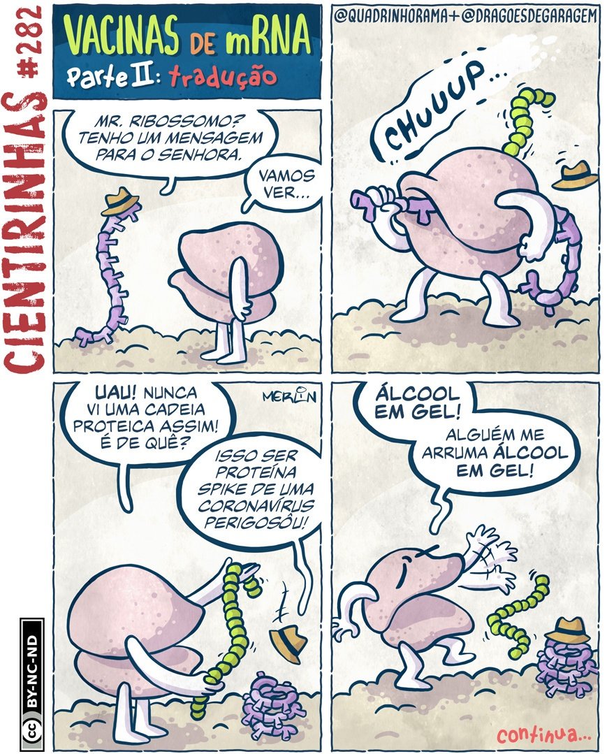 Divisão Celular | Blog do Prof. Djalma Santos | Página 4, image size:869x1079