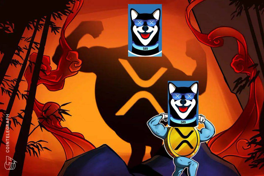 raecoleman289's tweet photo. @XRdoge Only like if you hold #xrdoge https://t.co/FujI5kOp0O