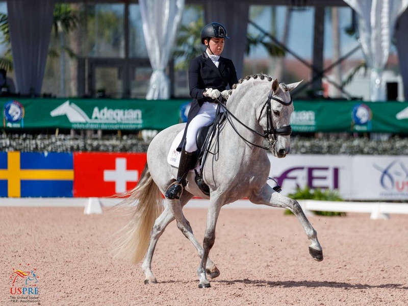 anccepre's tweet photo. USPRE WEEK 2022: La sabiduría de Sabine Schut-Kery y la elegancia del PRE. Vía @USPRE 

📸 Foto Lily Forado. 

➡️ https://t.co/eQaCGUlAtk

#CaballoEspañol #CaballosPRE #PuraRazaEspañola #DomaClasica #Dressage #Wellington #USPRE https://t.co/FtNNjWKqR7