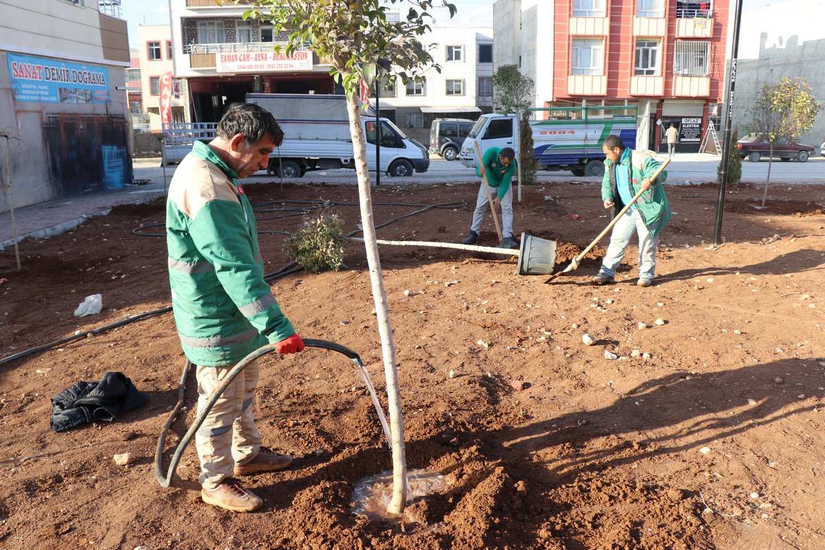 haliliye_bld's tweet photo. Daha Yeşil Bir Haliliye İçin Çalışıyoruz🌲

📌Parklarımızda fidanları toprakla buluşturmaya devam ediyoruz.🌲 🌿☘️

@mcanpolatnet https://t.co/9kXncS4jyE